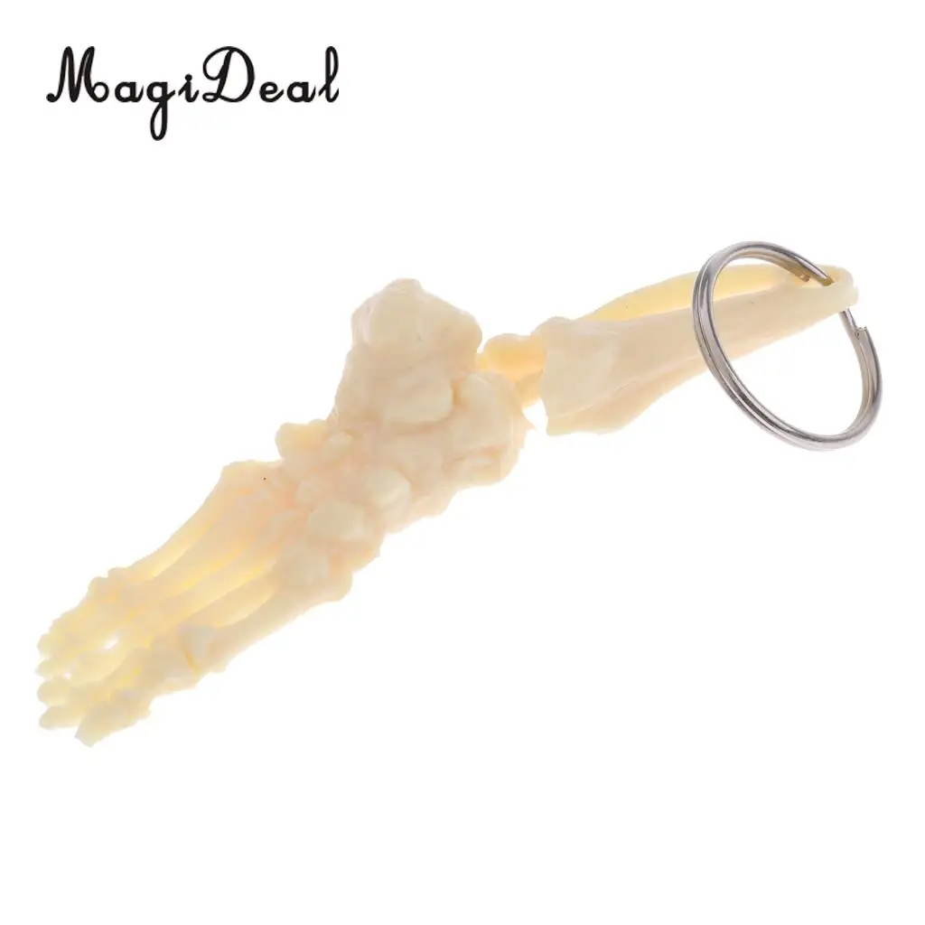 MagiDeal Human-skeleton Foot and Ankle Joint Model Key Chain Key Ring Children Kids Novelty Gift 12cm