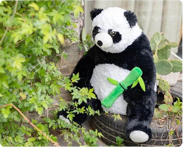 QQ20190504172945