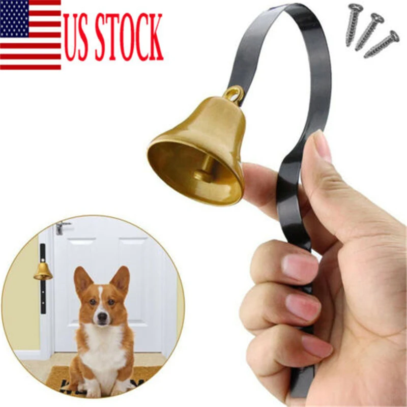 corgi house training