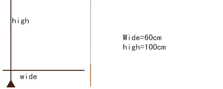 60x100