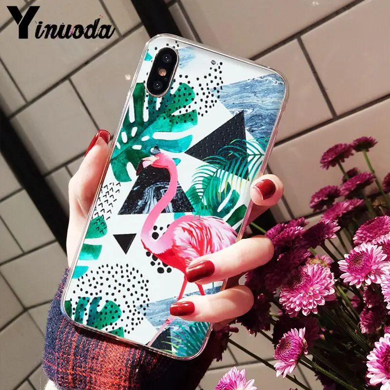 Flamingo Cute Animals Birds