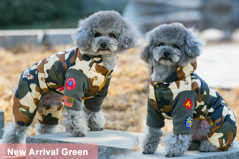 winter dog clothes 23