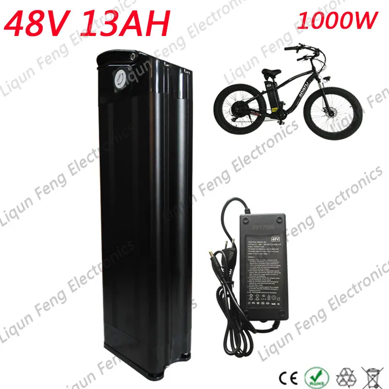 48V13A-silver-fish-black