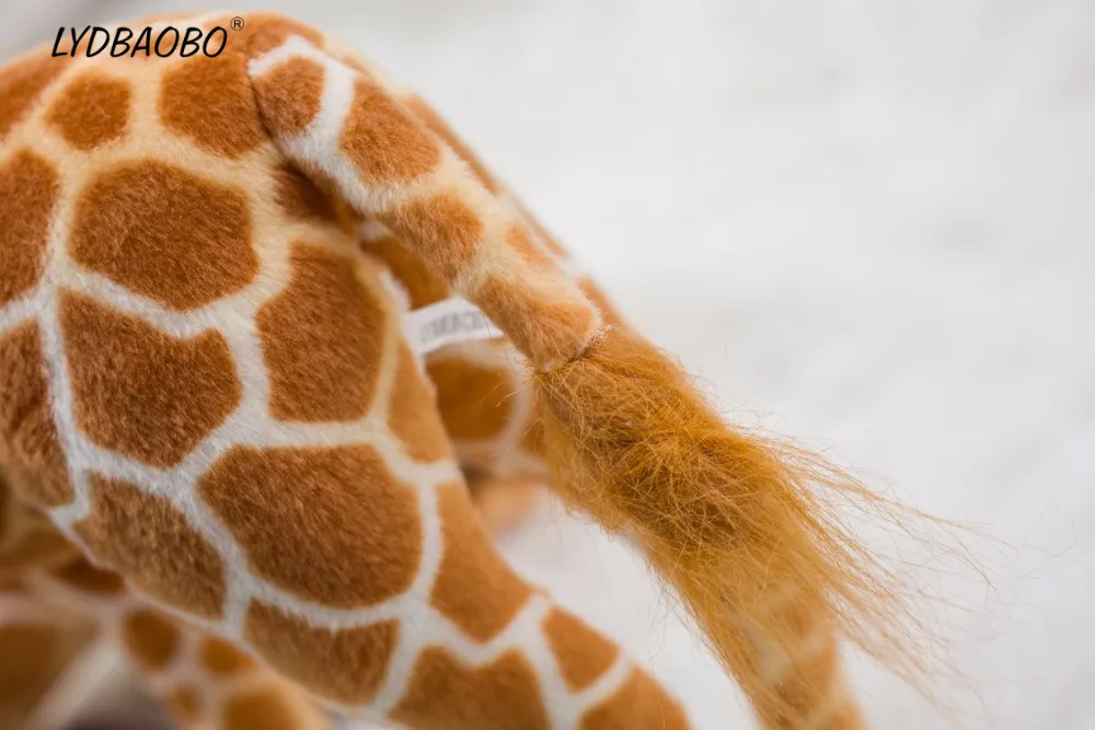 HTB1fmGGfv6H8KJjy0Fjq6yXepXao