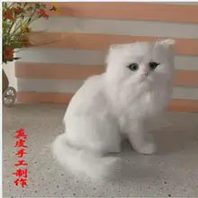 Wyzhy моделирования персидская Декор для дома, с изображением кота творческий настольные украшения Одежда для фотосессий для отправьте друзьям подарки