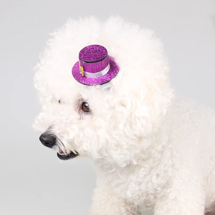Buy Dog Accessory Dog Cat Bowler Hat from Reliable
