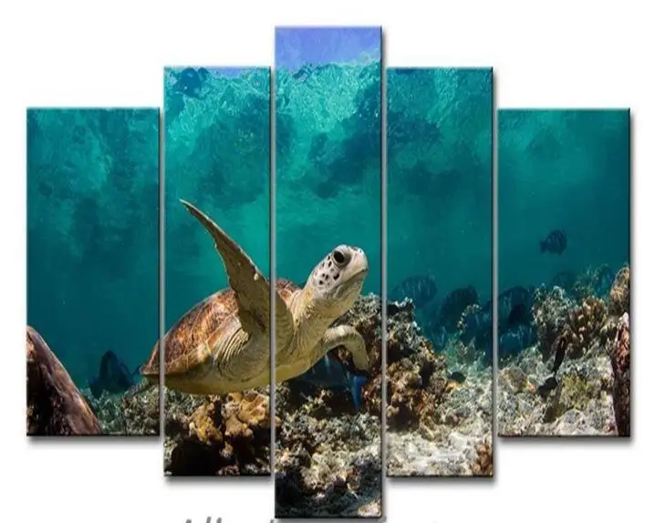 Turtle Wall Art online get cheap turtle wall art -aliexpress | alibaba group Turtle Wall Art online get cheap turtle wall art -aliexpress | alibaba group