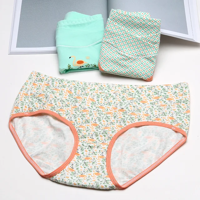 Summer Cotton Pregnant Women Underwear V Shaped Low Waist Maternity