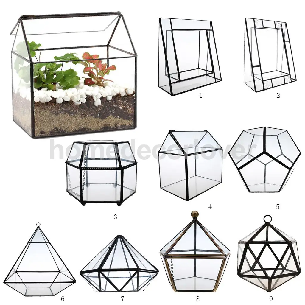 

Irregular Glass Geometric Terrarium Box Tabletop Succulent Air Plant Fern Moss Pot Planter