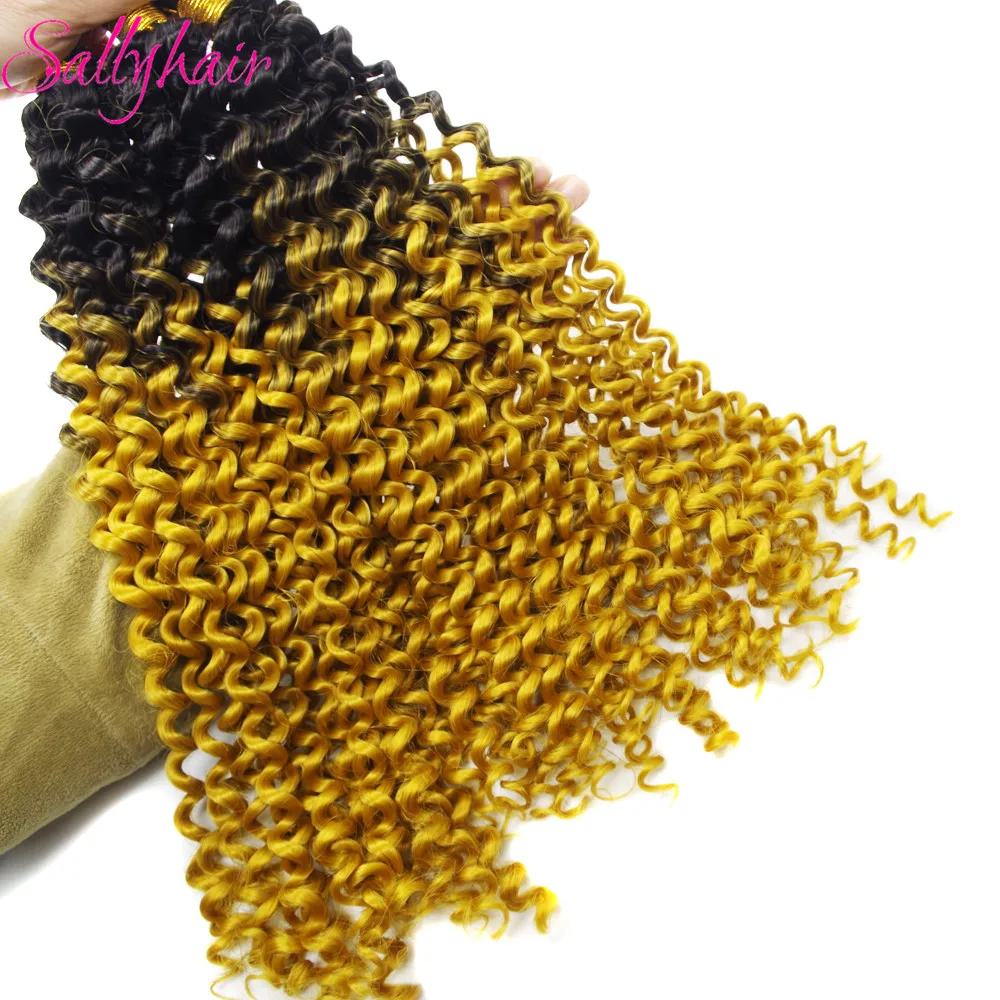 Sallyhair Water Wave Omber Braiding Hair Extension (39)