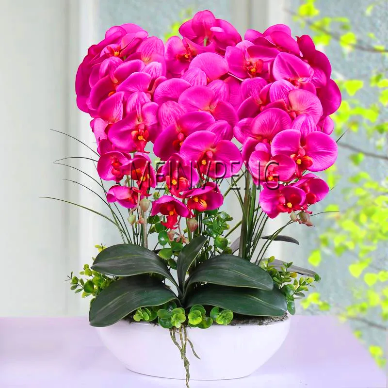 Акция потери! 20 шт смешанные цвета фаленопсис завод Бонсай Балкон цветок Орхидея сад разнообразие в комплекте,# DVRTJS
