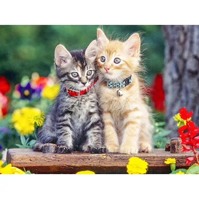 DIY Diamond Embroidery Cats Scenery animal Full drilling Painting 5D Cross stitch Christmas gift | Дом и сад