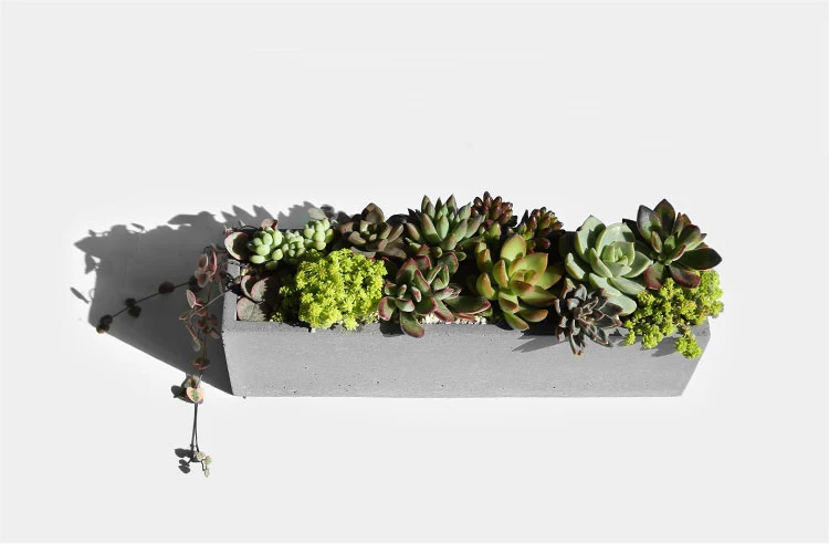 potes de cimento muti-plantas de carne retangular