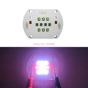 

Cree 30W Led Emitter XP-E Red(4pcs) and XP-E Royal Blue(2pcs) and XP-E2 Warm White (4pcs) DC26-28V 1A Plant Grow Led Bulb Light