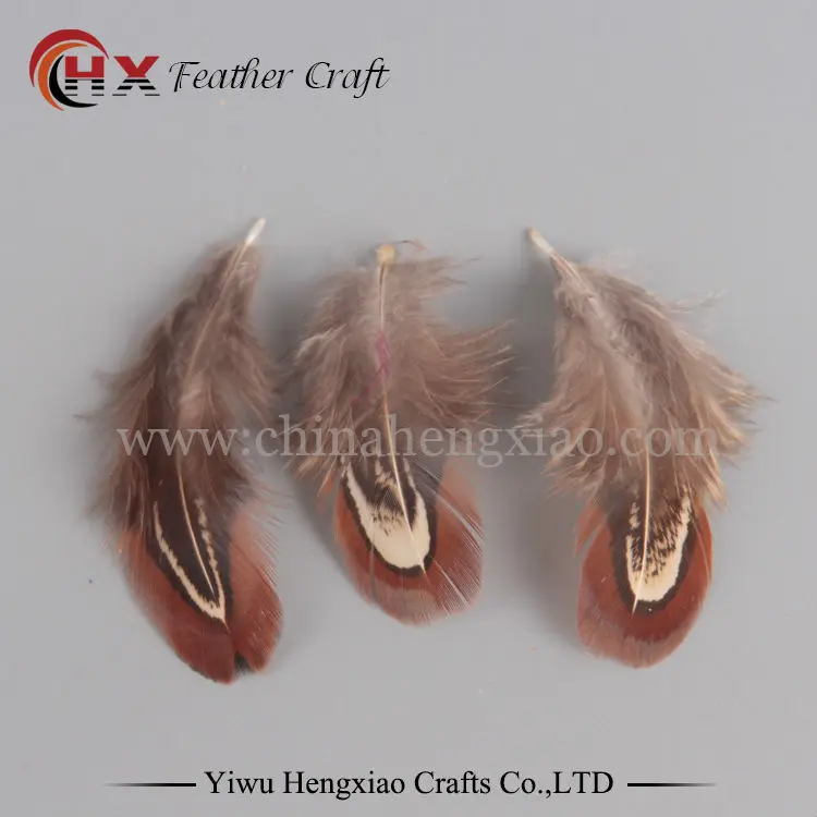 50 шт. красивая Новогодняя шляпа для костюмов и сережек 4 8 см|decorative feathers|pheasant