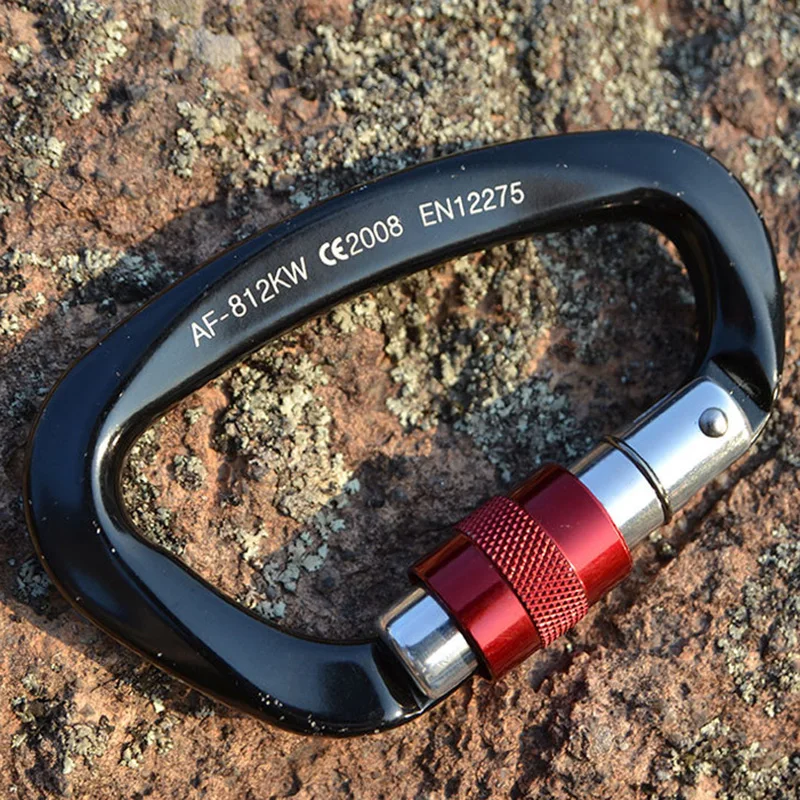 Professional Safety Master Lock D Buckle Climbing Lock Carabiner Rock Buckle Equipment for Climbing Professional Safety Master Lock D Buckle Climbing Lock Carabiner Rock Buckle Equipment for Climbing