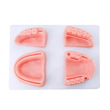 

Simulation oral suture practice model set Gingival suture medical teaching training tools