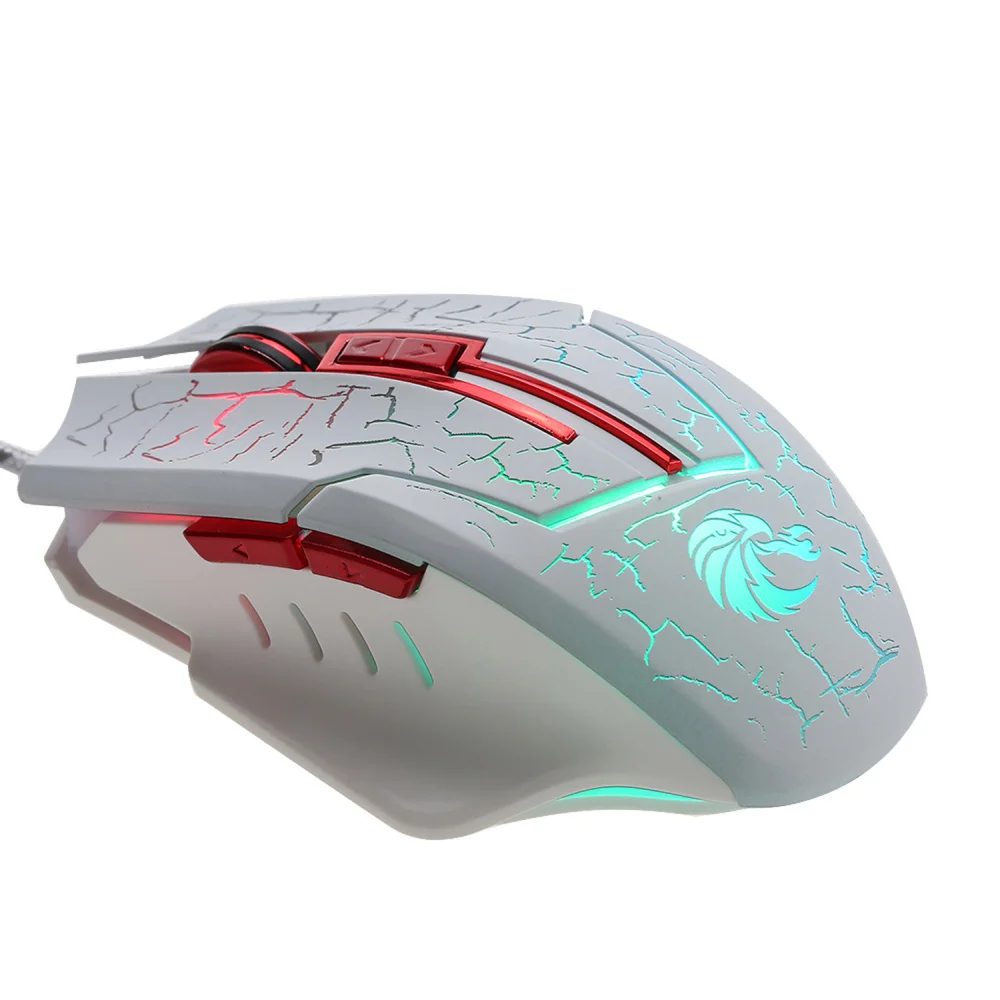 H800W (6)