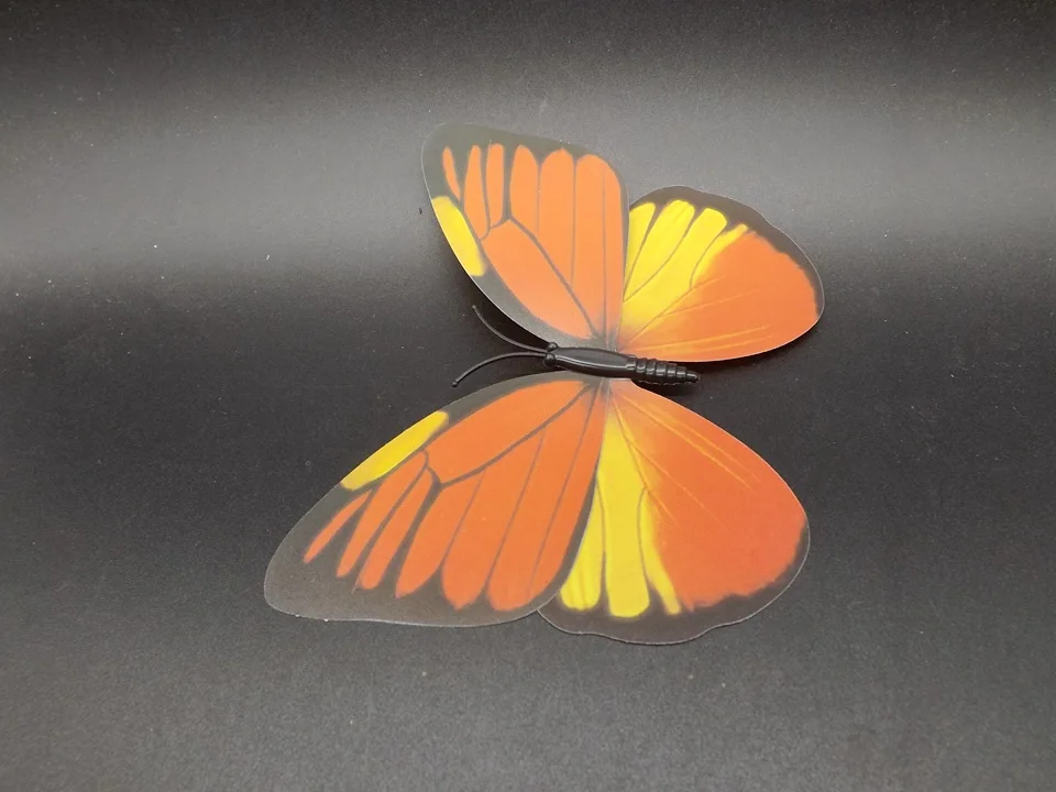 I229-Butterfly (6)