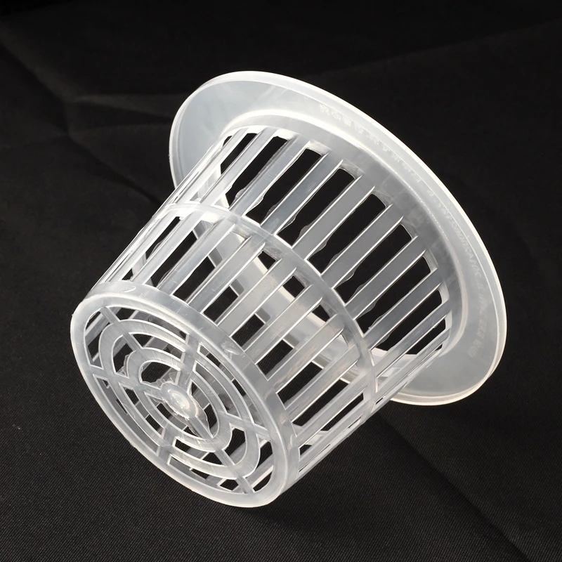 IMG_6826