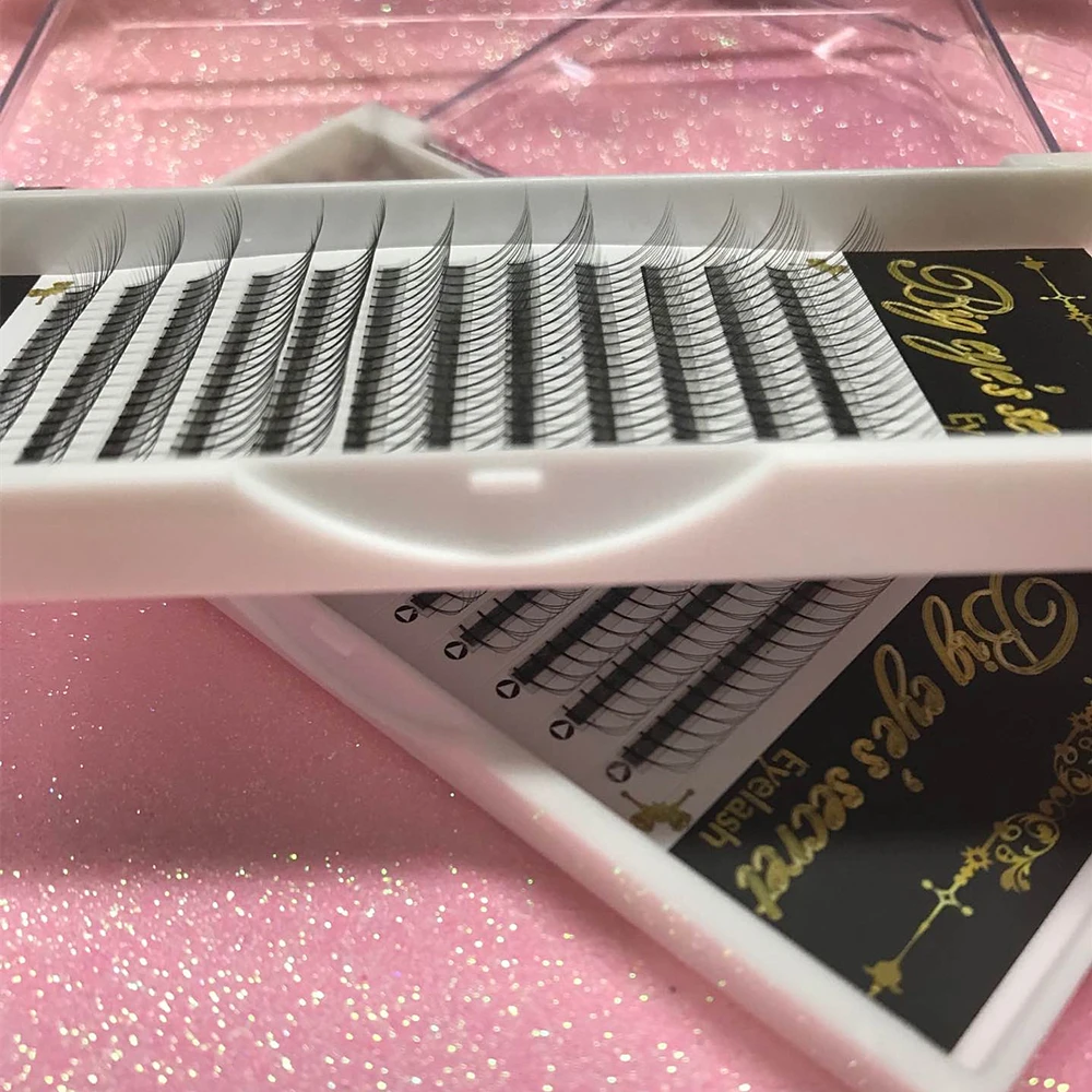 

1 Tray /Set Premade Volume Lash Fans 3D Volume Fans Eyelashes Extension Individual Custome Logo Russia Lashes Free Shipping