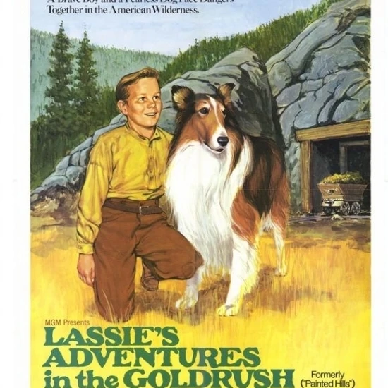 Lassies Adventures In Gold Rush Movie Poster (11 x 17)