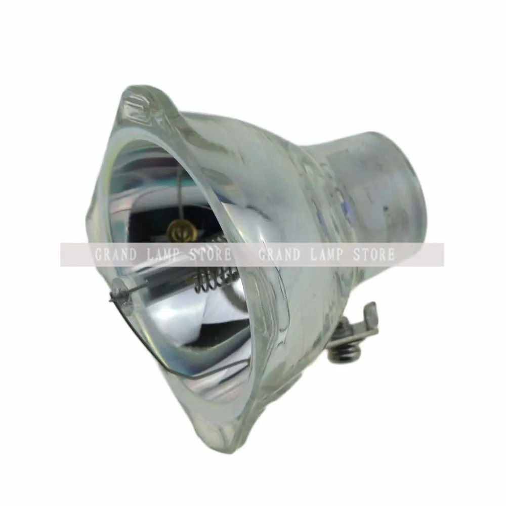 SP-LAMP-003-3