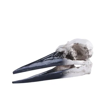 

Dinosaur Bird Skull Resin Skull Resin Handicraft Home Decoration Animal Skull Research Creative Decoration