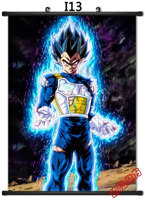 

Japan Anime Home Decor Wall Scroll Poster Dragon Ball Super Hit Vegeta