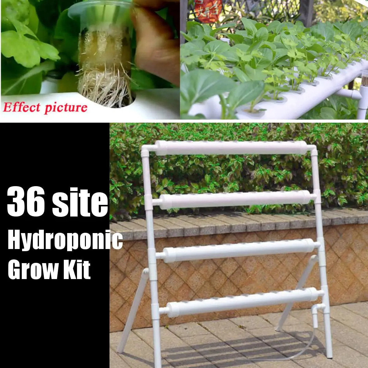 

36 Holes Hydroponic Piping Site Grow Kit Deep Water Culture Planting Box Gardening System Nursery Pot Hydroponic Rack 220V