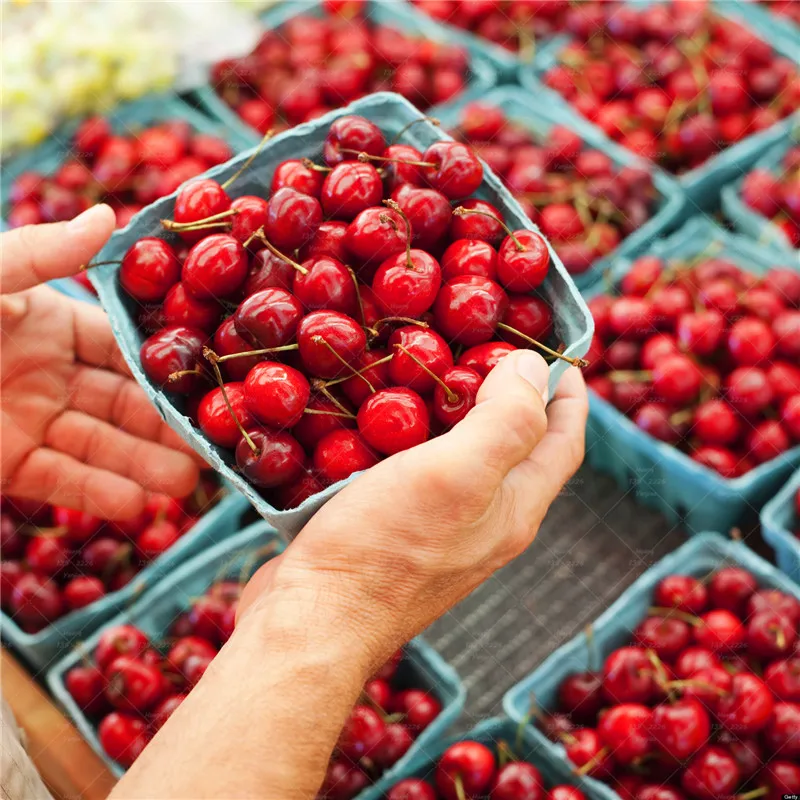 Черешня темная большая. Вишня без косточек 300 гр. Семена вишни. Черешня в пластиковом ящике. Пакет вишен.