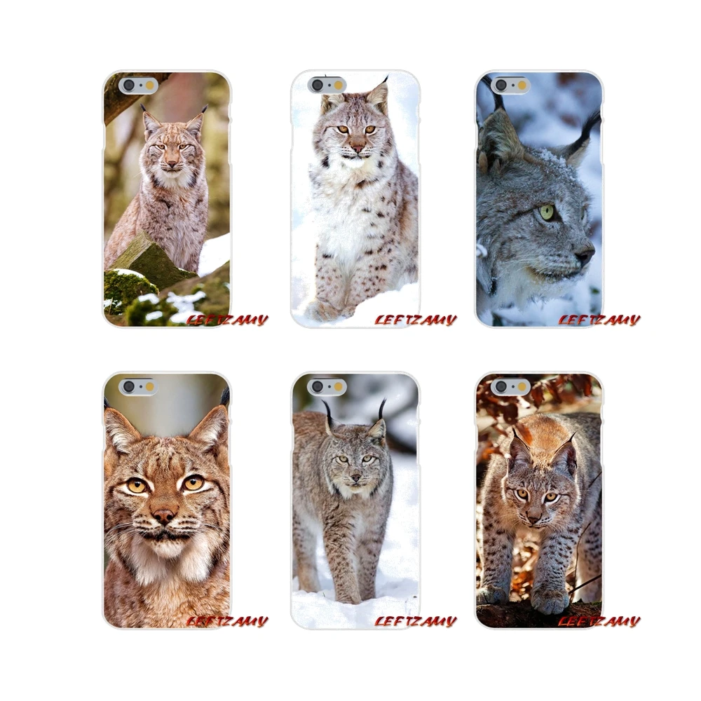 

For Samsung Galaxy S3 S4 S5 MINI S6 S7 edge S8 S9 Plus Note 2 3 4 5 8 Lynx Caracals Kitten Accessories Phone Shell Covers