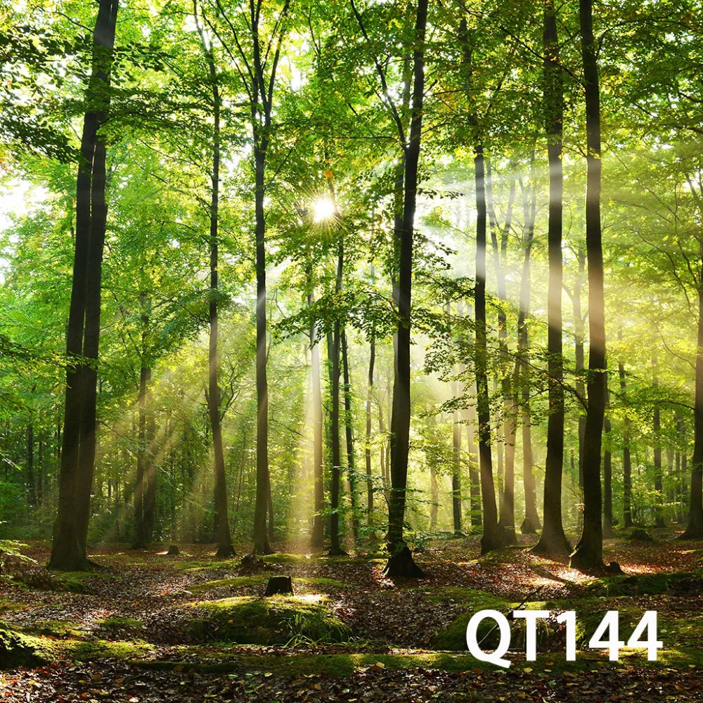 QT144