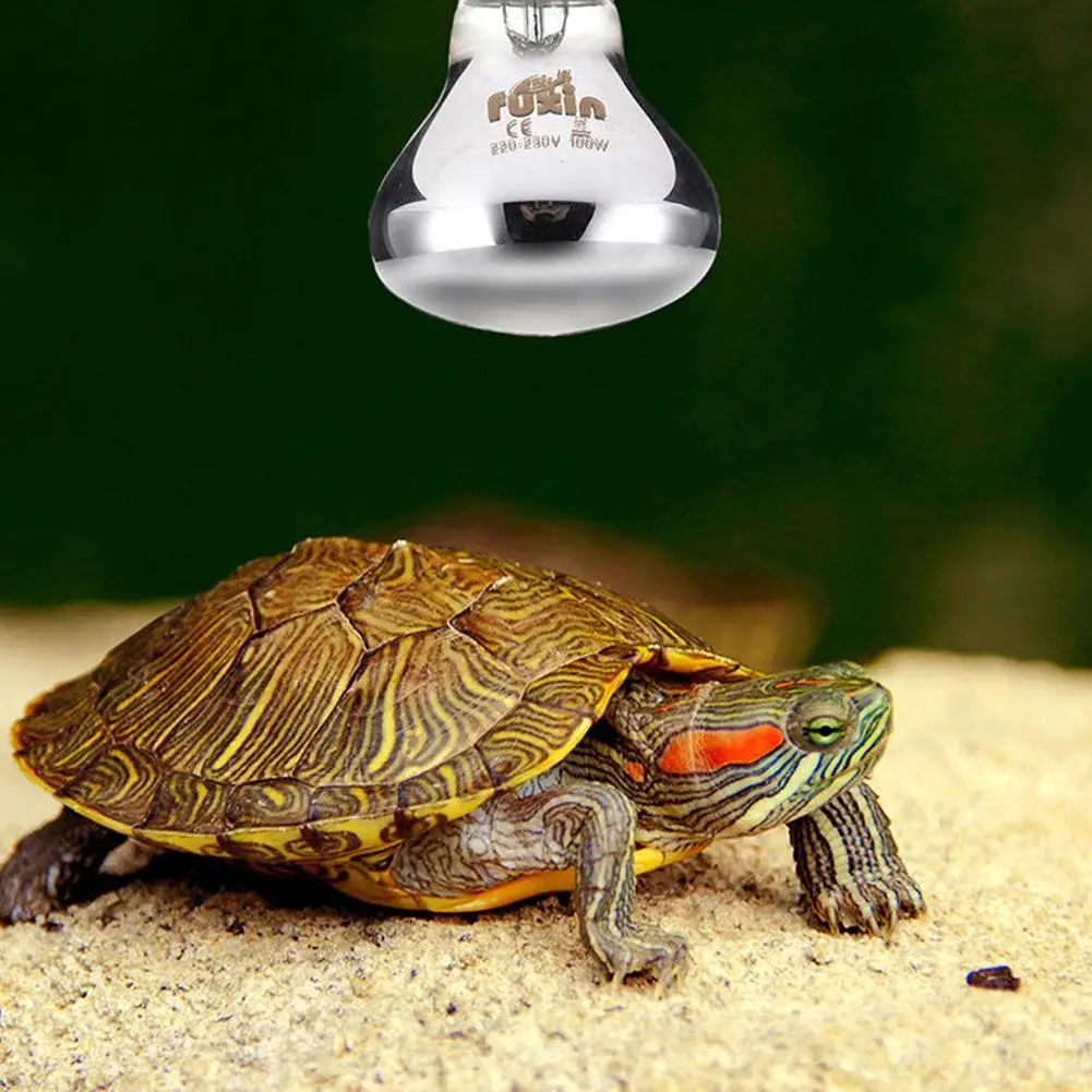 

LanLan Pet Reptile Heat Preservation Light Blub Heat Lamp Pet Supplies
