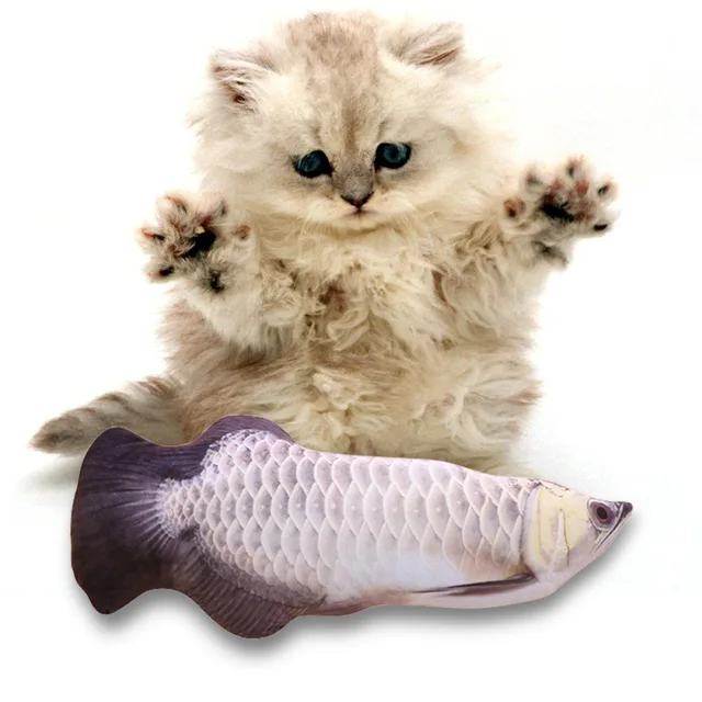 punny most love pet