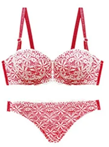 Women Intimate Push Up Bra Set sexy Half Cup Bras Thick Padded Underwear Embroidery Brassiere Underwire Lingerie Red Blue Purple