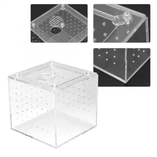 Online Shop 1pc Reptiles Living Box Terrarium Feeder Snakes Spider