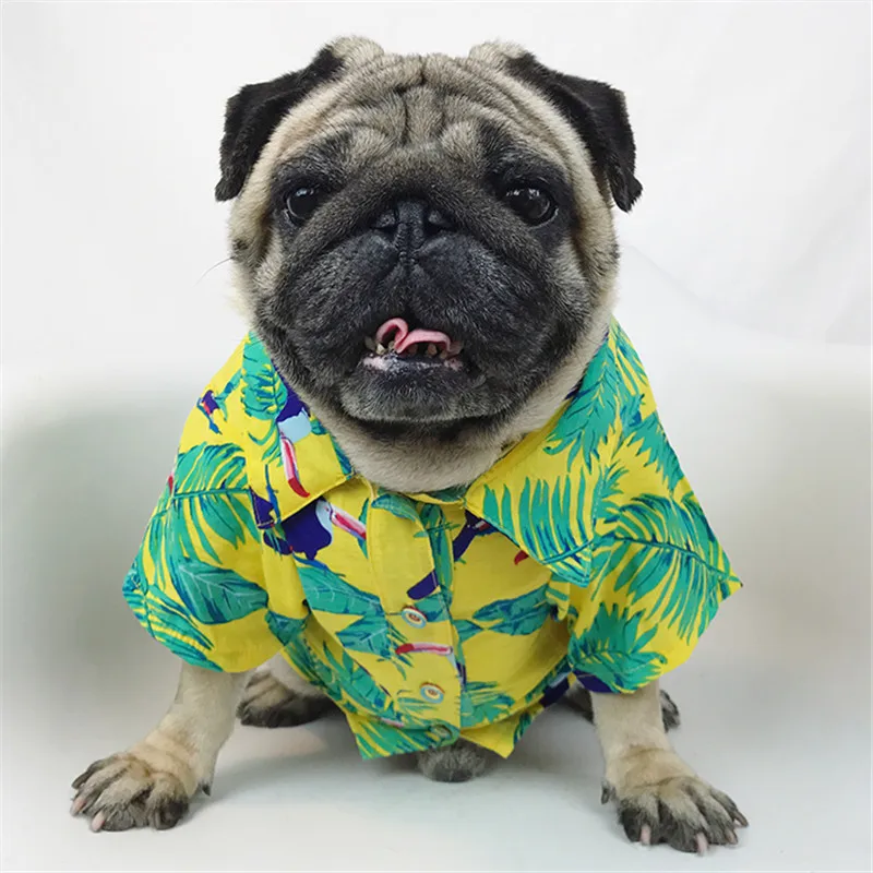 Aliexpress.com : Buy Bigeyedog Pug Clothes French Bulldog ...