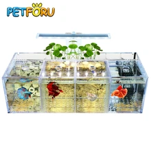 PETFORU акриловый изолированный цилиндр Bettas для аквариума, наклонный водяной насос, цилиндр для разведения, детский аквариум Betta, аквариум для разведения Гуппи