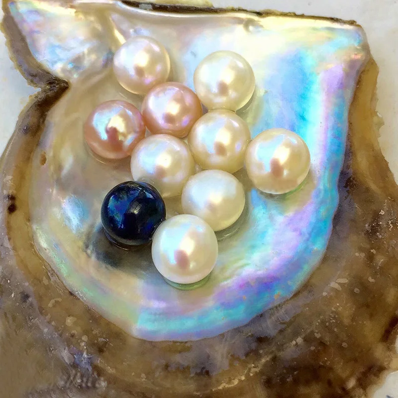 Buy 2018 New Freshwater Vacuum pack Oyster Wish Pearls
