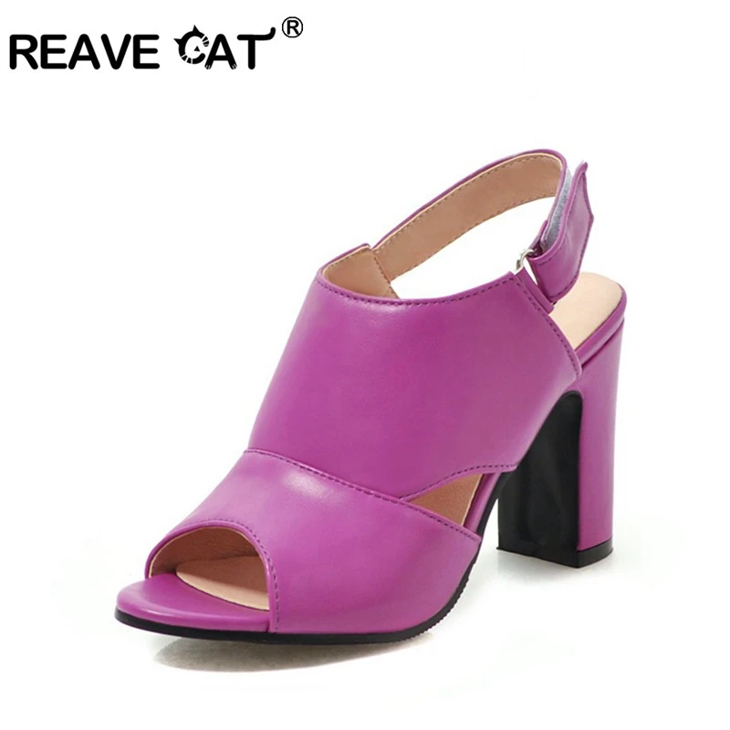 cat high heel shoes