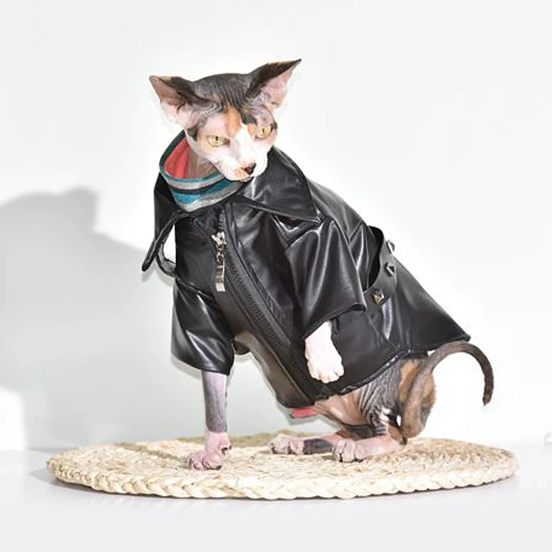 Pet Cat Clothing Winter Autumn Warm Sphynx Cat PU Leather Coat Clothes Fashion Pets Cat Costume Luxury Clothes For Cats Kitten