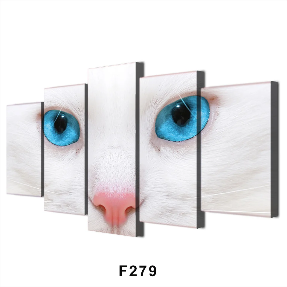 F279-2