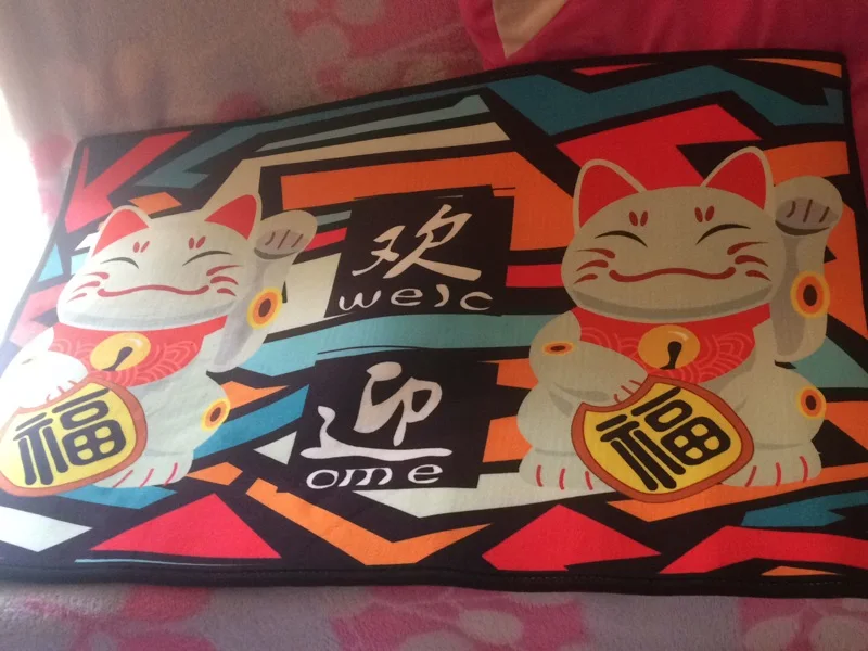 New Double Cat Doormat 8