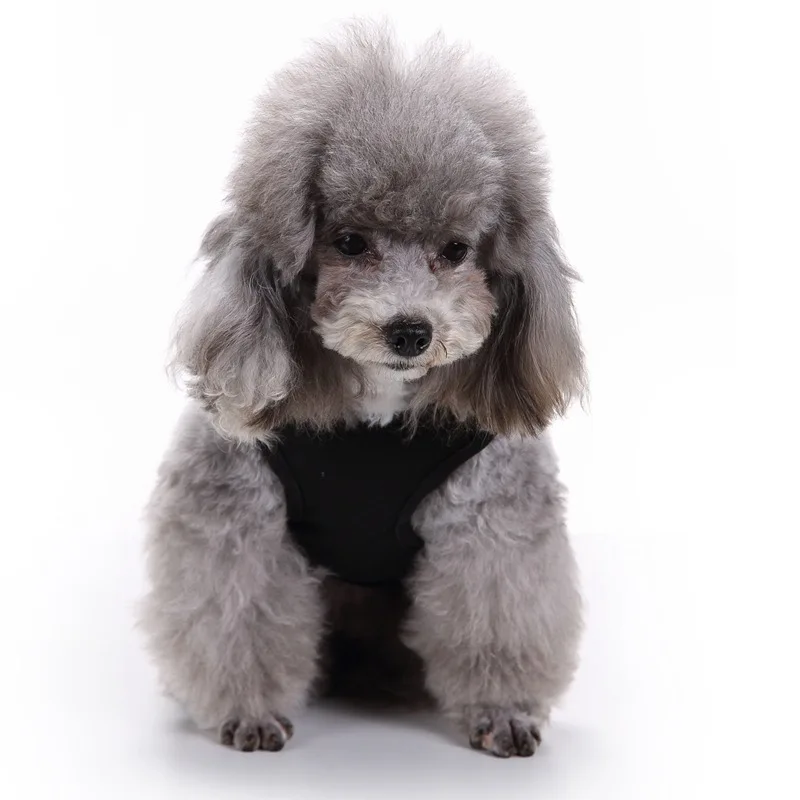 100% хлопок Лето Хэллоуин Тыква собака летняя одежда Xs Одежда для собак Petcircle Roupa