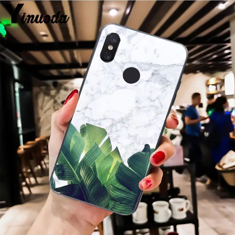 Palm tree Leaves pattern  