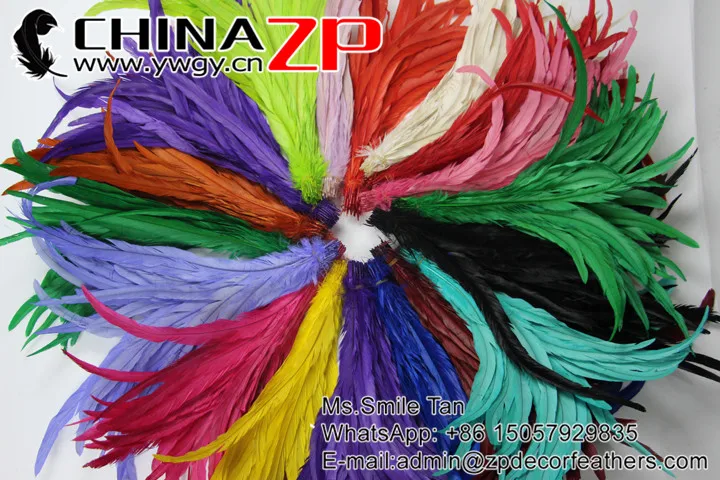 Fully dye rooster tail feathers wholesale (5)