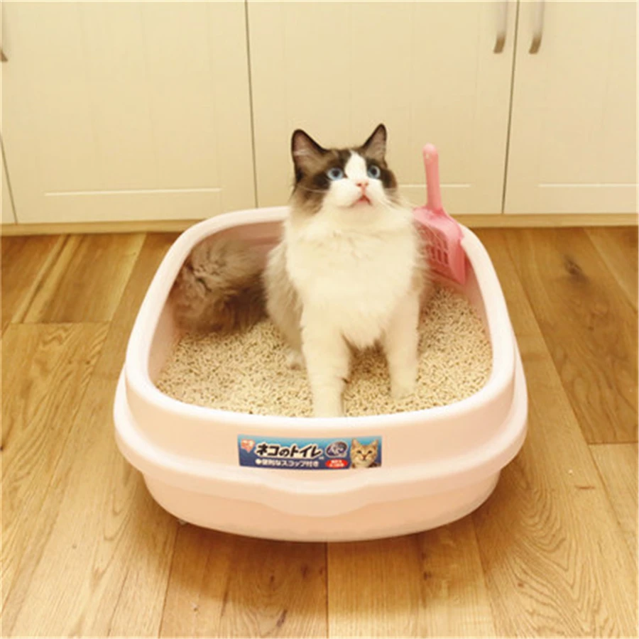 cat litter grit