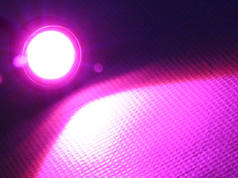 purple (5)