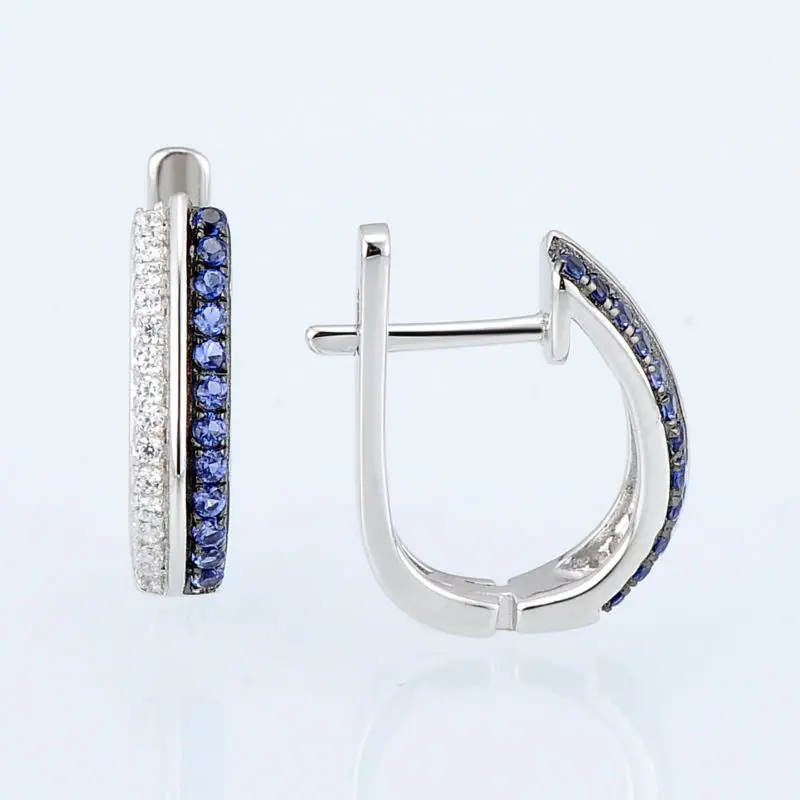 E307179BZZSK925-SV2-Silver Earrings